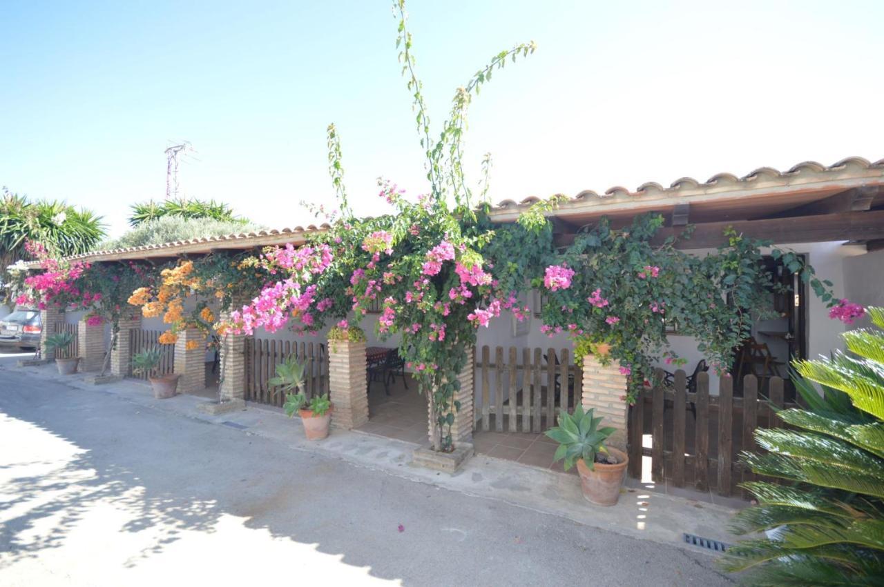 קדיז Estudios Con Piscina Compartida En Conil. מראה חיצוני תמונה