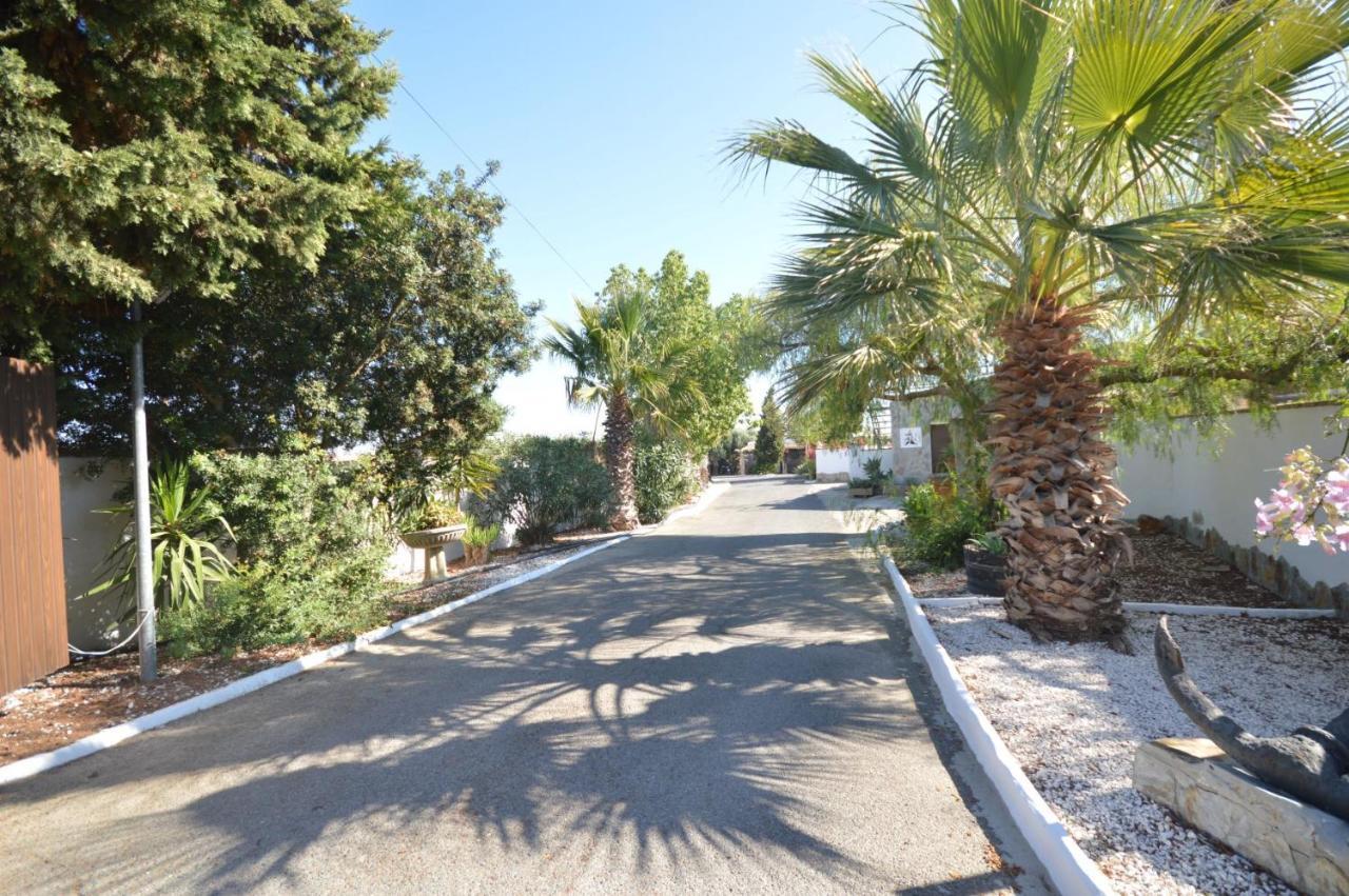 קדיז Estudios Con Piscina Compartida En Conil. מראה חיצוני תמונה